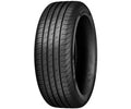 SAVA INTENSA HP 2 195/65 R15 91H
